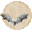 Member Avater