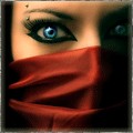 Member Avater